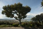 Antibes  - from the top