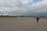Sylt - singing with the birds
