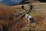 autumn in Ticino - three hunters
